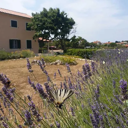 Appartement Kucerina