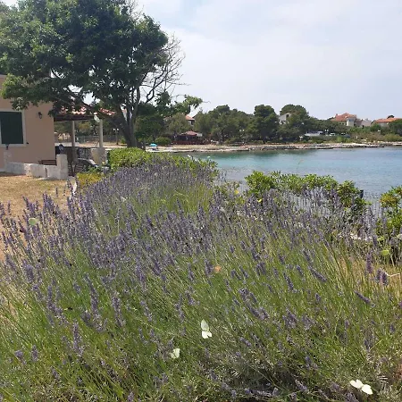 Kucerina Apartamento